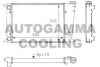 AUTOGAMMA 101042 Radiator, engine cooling